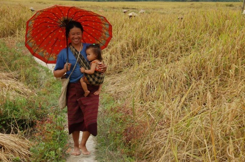 Laos - w drodze do wioski 2