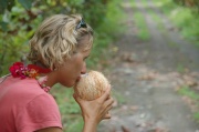 Papua - kokos dla Moni