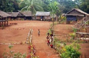 Papua - papuaska wioska 1
