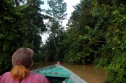 Filmik - Borneo - dzungla