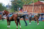 Chile - gauchowskie rodeo 9