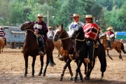 Chile - gauchowskie rodeo 17