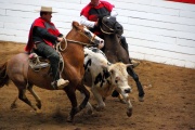 Chile - gauchowskie rodeo 25