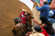 Chile - gauchowskie rodeo 27