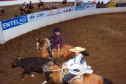 Chile - gauchowskie rodeo 33