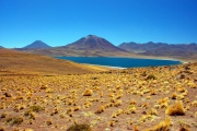 Chile - Atacama jeziora 1
